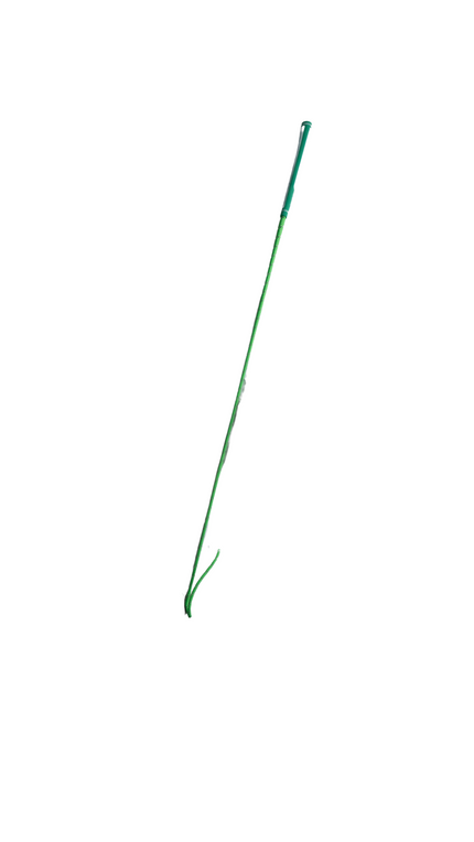 Shires Rainbow Riding Whip (1M)