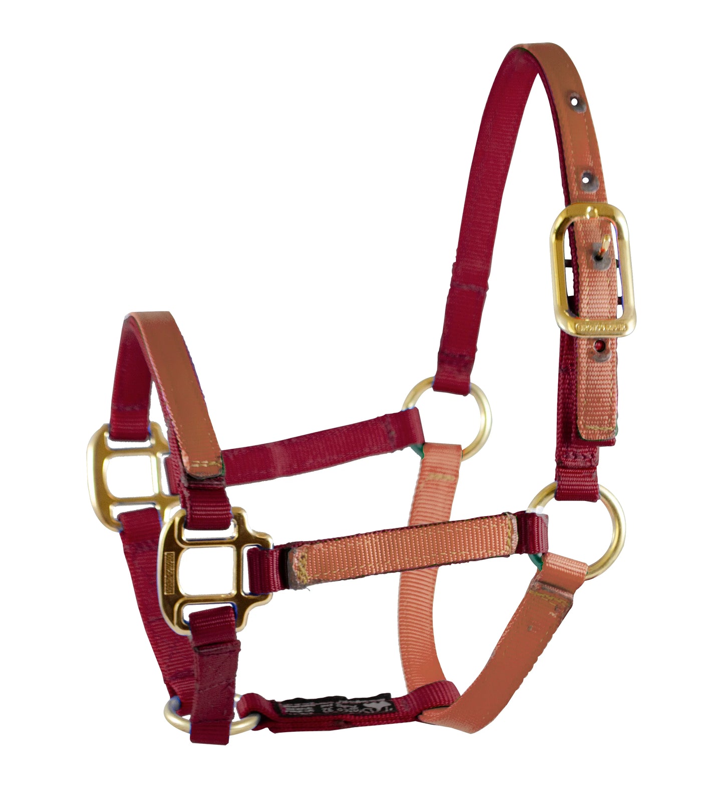 Horse Halter With Ring in Front.