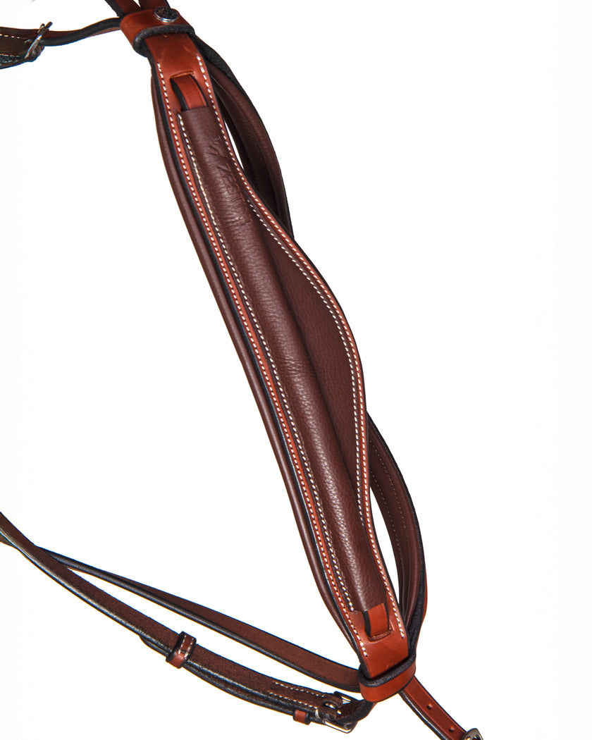 Aurum Performance Bridle