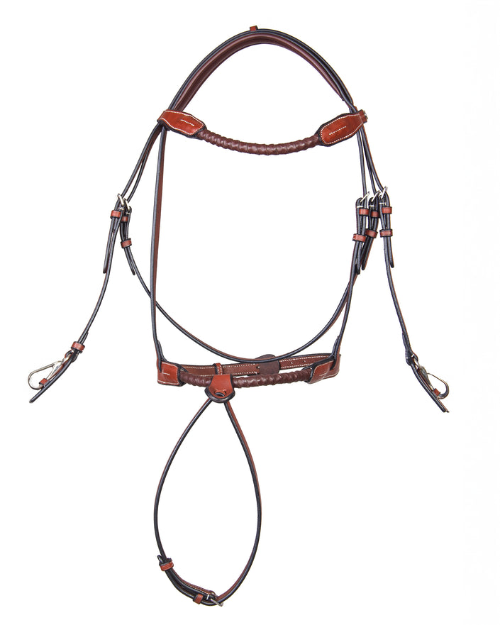 Lyra Stylish Bridle