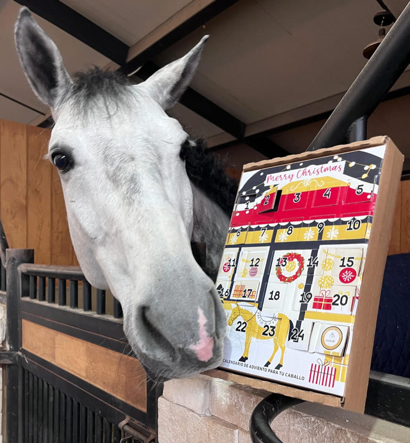 Calendario de Adviento