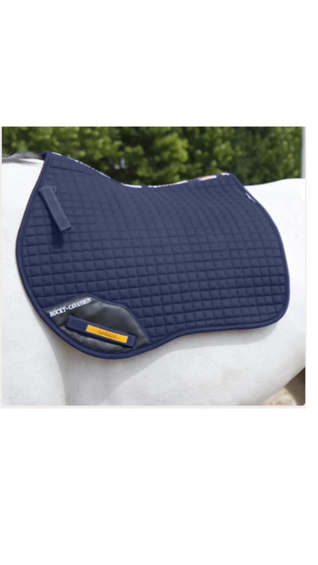 Cavassion Saddle Pad