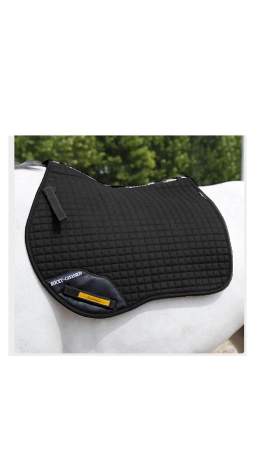 Cavassion Saddle Pad