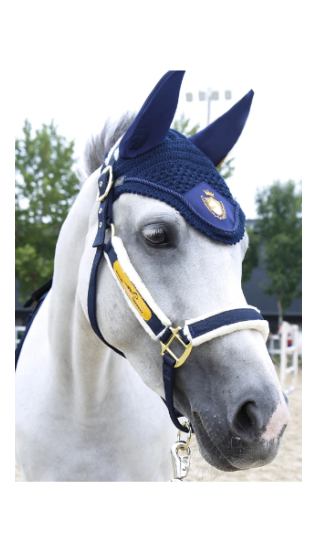 Orejeras de caballo bordadas Cavassion