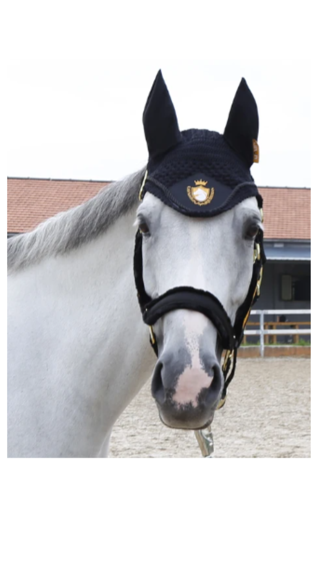 Orejeras de caballo bordadas Cavassion