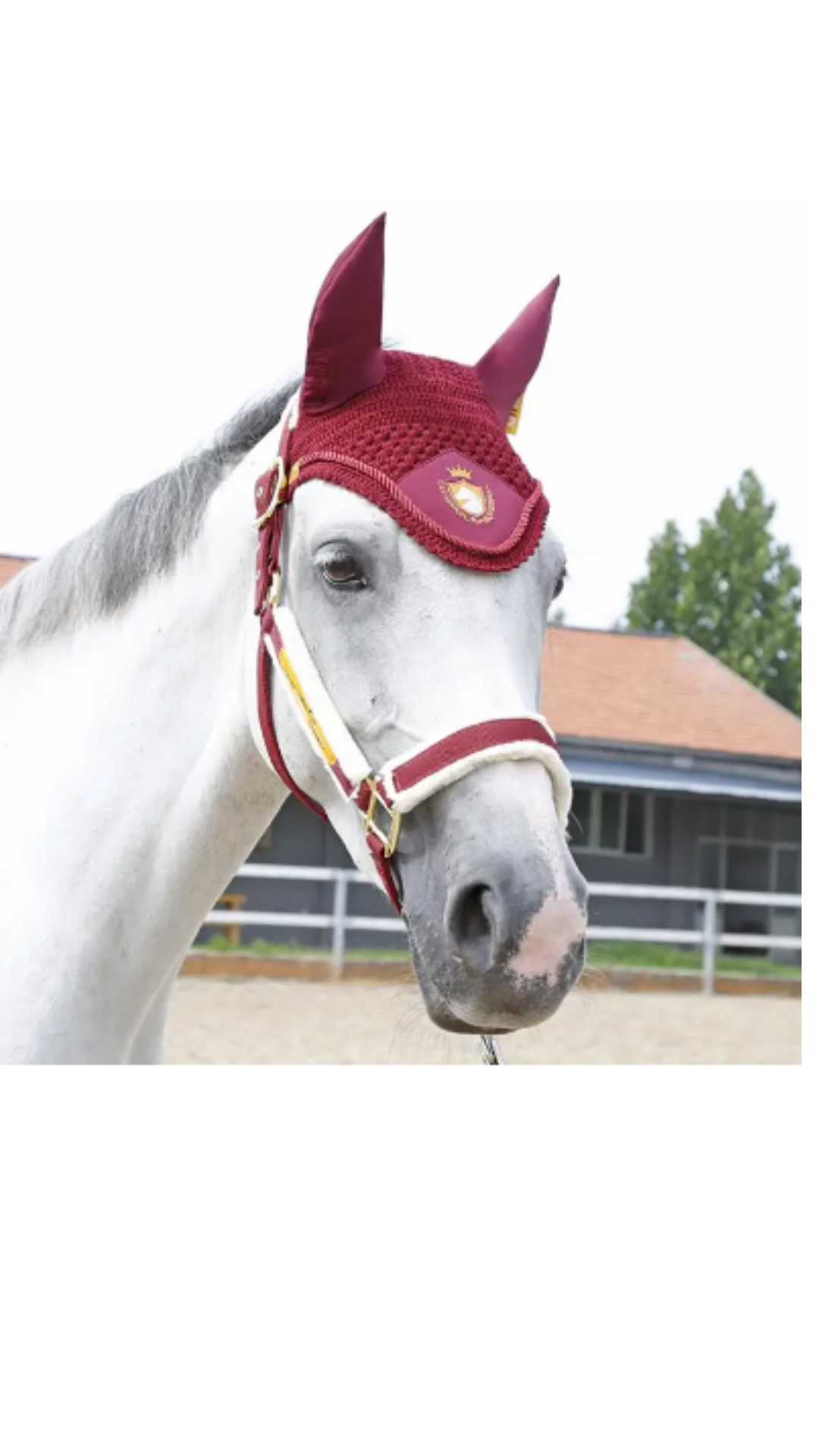 Orejeras de caballo bordadas Cavassion