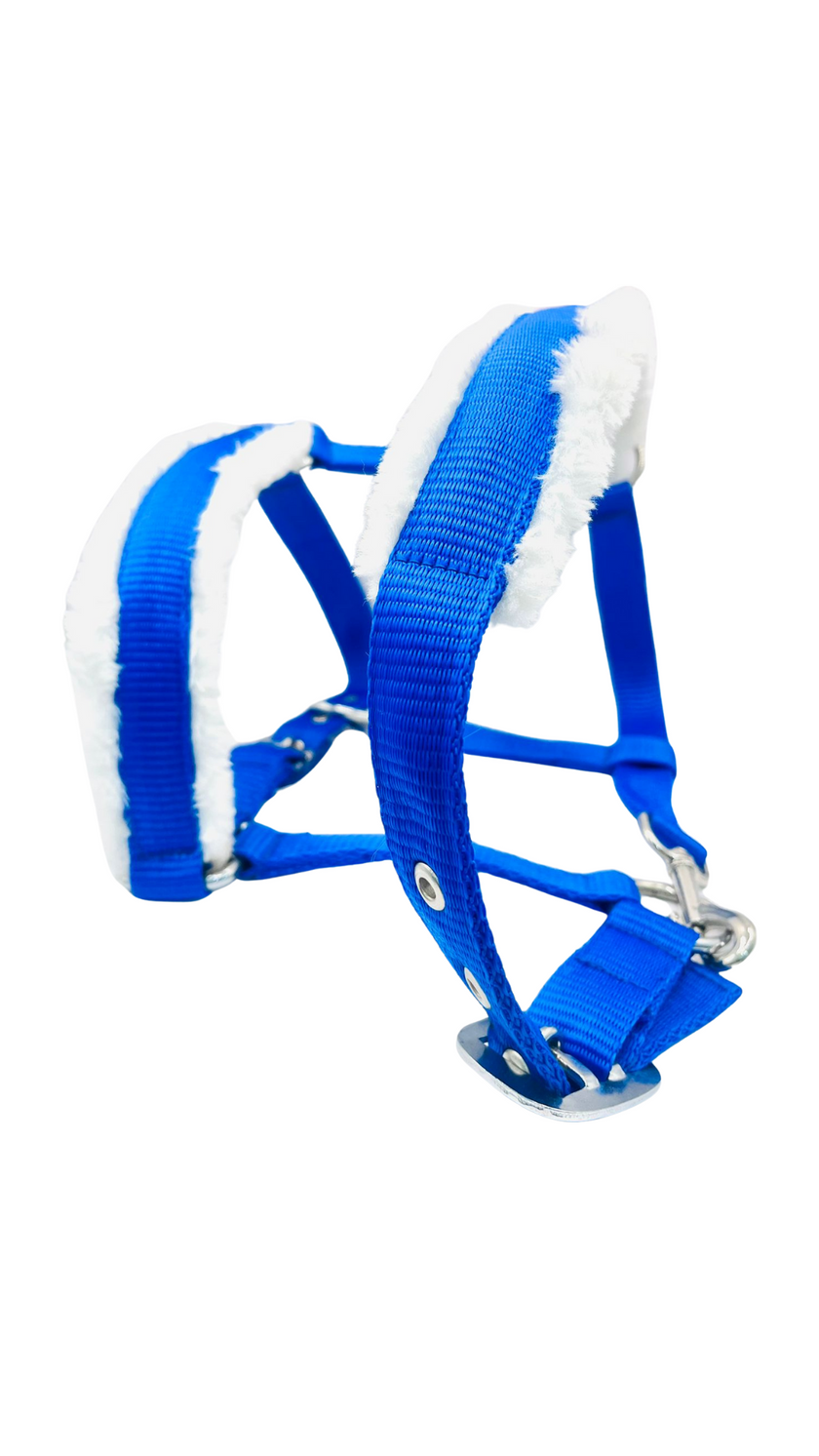 Cabestro de caballo con piel