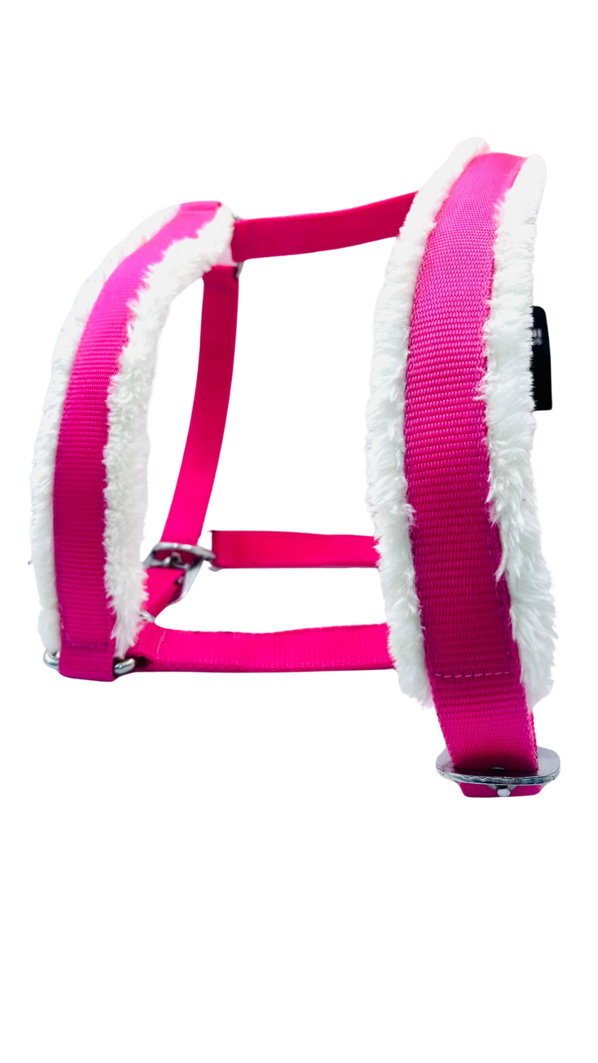 Cabestro de caballo con piel